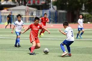 推动农村改,助力乡村振,兴战略实施,捕鱼达人官方在线网站,捕鱼达人3D官方正版,捕鱼达人在线试玩,捕鱼达人3网页版